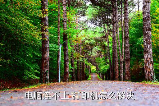 電腦連不上 打印機(jī)怎么解決
