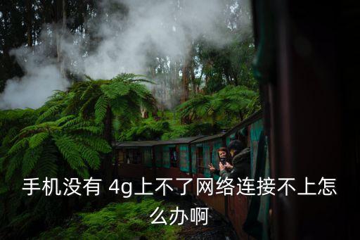手機(jī)沒有 4g上不了網(wǎng)絡(luò)連接不上怎么辦啊