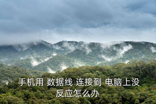 手機(jī)無法通過數(shù)據(jù)線連接電腦,用數(shù)據(jù)線連接手機(jī)和電腦怎么傳文件