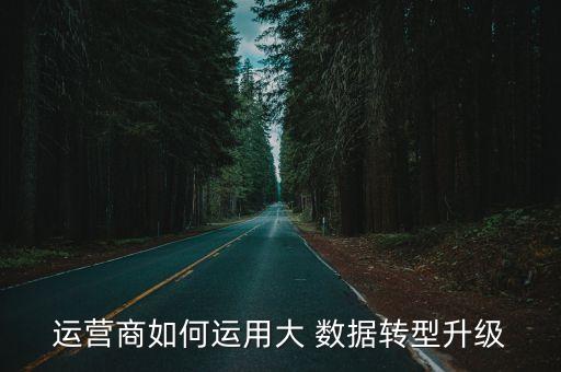 運營商如何運用大 數(shù)據(jù)轉(zhuǎn)型升級