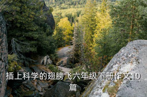 小猴子和機(jī)器人的故事,換一個再推機(jī)器人的小猴子