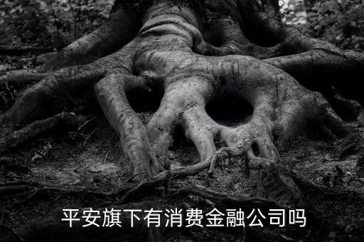  平安旗下有消費金融公司嗎