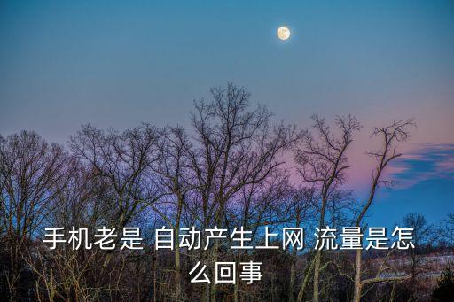  手機(jī)老是 自動產(chǎn)生上網(wǎng) 流量是怎么回事