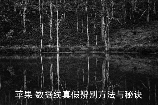 數(shù)據(jù)線怎么分真?zhèn)?蘋果數(shù)據(jù)線序列號真?zhèn)? /></a><a href=