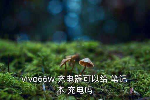 數(shù)據(jù)線給筆記本充電,筆記本可以用手機數(shù)據(jù)線充電嗎