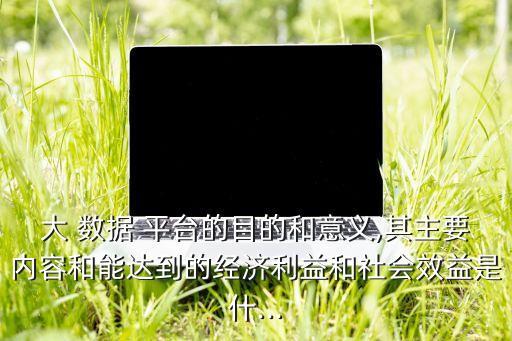 大 數(shù)據(jù) 平臺的目的和意義,其主要內(nèi)容和能達到的經(jīng)濟利益和社會效益是什...