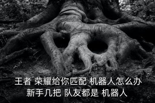  王者 榮耀給你匹配 機(jī)器人怎么辦新手幾把 隊友都是 機(jī)器人