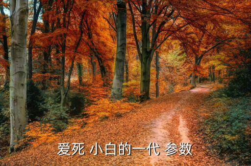 愛死 小白的一代 參數(shù)