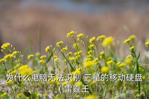 為什么電腦無(wú)法識(shí)別 三星的移動(dòng)硬盤( 雷霆王