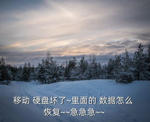 移動 硬盤壞了~里面的 數據怎么 恢復~~急急急~~