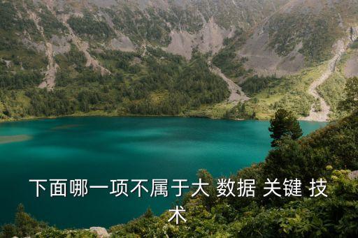 下面哪一項(xiàng)不屬于大 數(shù)據(jù) 關(guān)鍵 技術(shù)