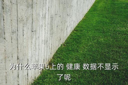 ios 健康里沒數(shù)據(jù),iOS里的系統(tǒng)數(shù)據(jù)