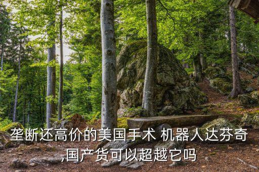 壟斷還高價的美國手術(shù) 機器人達芬奇,國產(chǎn)貨可以超越它嗎