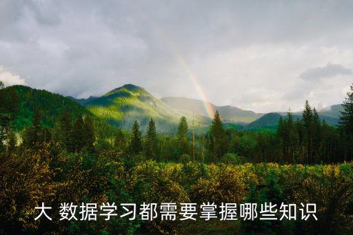 大 數(shù)據(jù)學(xué)習(xí)都需要掌握哪些知識