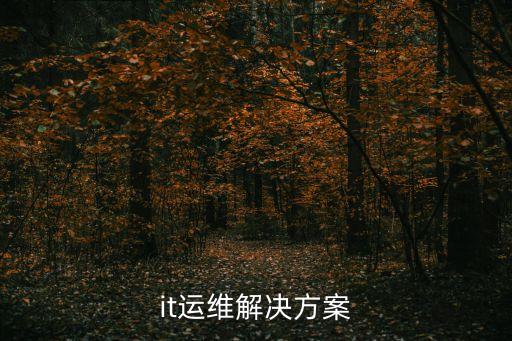 it運維解決方案