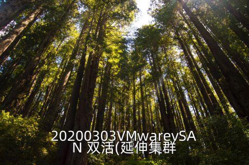 20200303VMwarevSAN 雙活(延伸集群