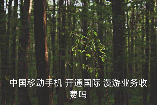 中國(guó)移動(dòng)手機(jī) 開通國(guó)際 漫游業(yè)務(wù)收費(fèi)嗎