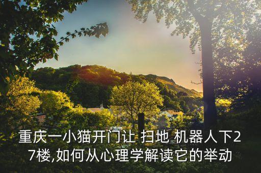重慶一小貓開門讓 掃地 機(jī)器人下27樓,如何從心理學(xué)解讀它的舉動