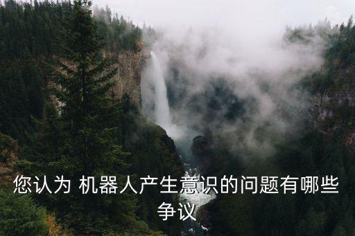 您認(rèn)為 機(jī)器人產(chǎn)生意識的問題有哪些爭議