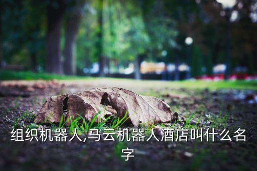 馬云組織機(jī)器人,馬云機(jī)器人酒店叫什么名字