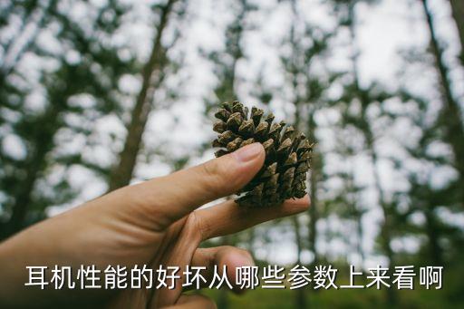  耳機性能的好壞從哪些參數(shù)上來看啊