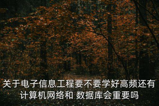 關(guān)于電子信息工程要不要學(xué)好高頻還有計(jì)算機(jī)網(wǎng)絡(luò)和 數(shù)據(jù)庫(kù)會(huì)重要嗎