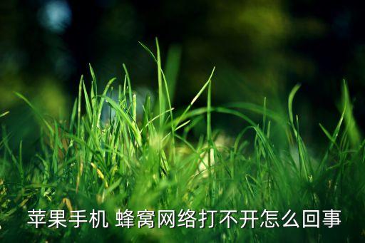 蘋果開蜂窩數(shù)據(jù)卡,蘋果蜂窩數(shù)據(jù)卡二如何讓她不顯示