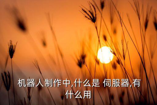  機(jī)器人制作中,什么是 伺服器,有什么用