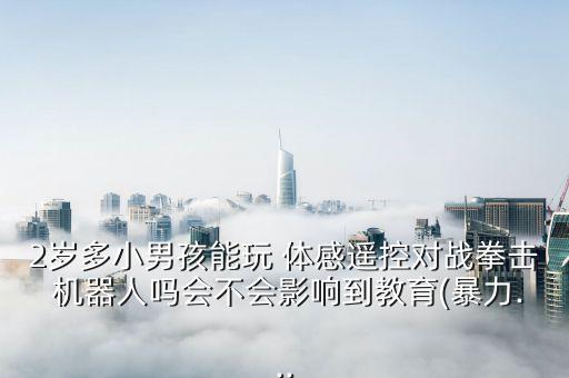 2歲多小男孩能玩 體感遙控對戰(zhàn)拳擊 機器人嗎會不會影響到教育(暴力...