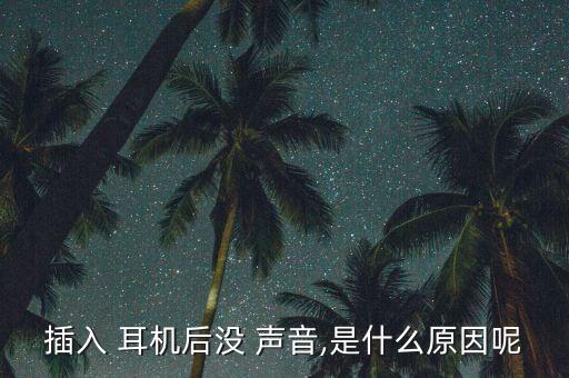 手機耳機自動沒有聲音是怎么回事啊