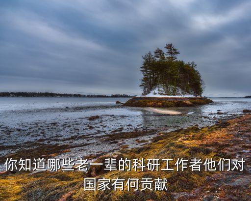 你知道哪些老一輩的科研工作者他們對(duì)國(guó)家有何貢獻(xiàn)