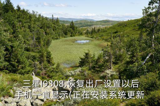 三星i9308 badgeprovider清除數(shù)據(jù)后是否有影響