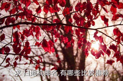 求 掃地機(jī)排名,有哪些比較推薦