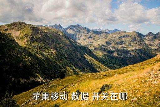 手機(jī)的數(shù)據(jù)開關(guān)在哪,手機(jī)數(shù)據(jù)開關(guān)打不開是什么原因
