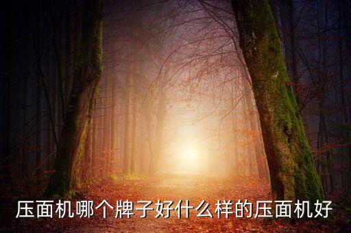 林德機(jī)器人,林德搬運(yùn)機(jī)器人