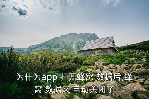 為什為app 打開蜂窩 數(shù)據(jù)后,蜂窩 數(shù)據(jù)又 自動關閉了