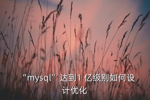 “mysql”達到1 億級別如何設計優(yōu)化