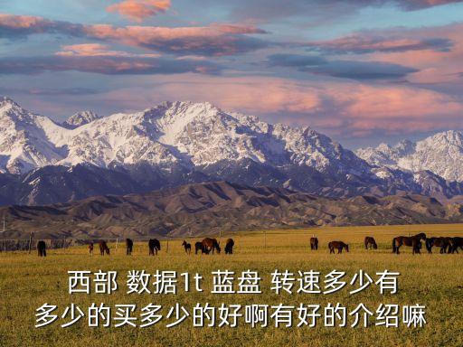 西部數(shù)據(jù)藍(lán)盤(pán)轉(zhuǎn)速