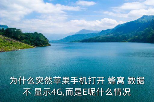 為什么突然蘋(píng)果手機(jī)打開(kāi) 蜂窩 數(shù)據(jù)不 顯示4G,而是E呢什么情況