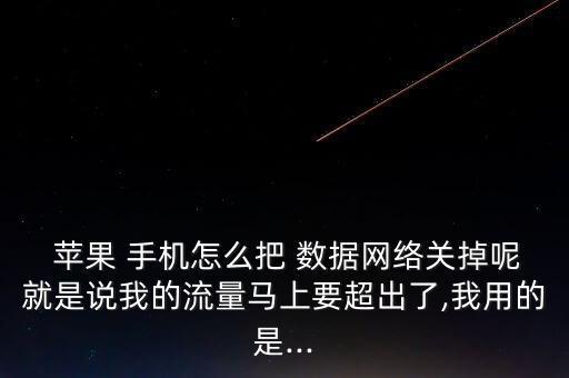  蘋果 手機(jī)怎么把 數(shù)據(jù)網(wǎng)絡(luò)關(guān)掉呢就是說我的流量馬上要超出了,我用的是...