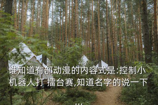 2016機器人擂臺賽,機器人武術(shù)擂臺賽