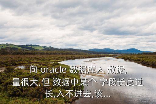 向 oracle 數(shù)據(jù)庫入 數(shù)據(jù),量很大,但 數(shù)據(jù)中某個 字段長度過長,入不進去,該...