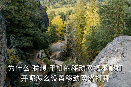 為什么 聯(lián)想 手機的移動網(wǎng)絡(luò)不能打開呢怎么設(shè)置移動網(wǎng)絡(luò)打開