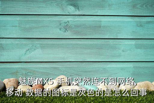  魅族MX5 手機突然連不到網(wǎng)絡(luò),移動 數(shù)據(jù)的圖標是灰色的是怎么回事