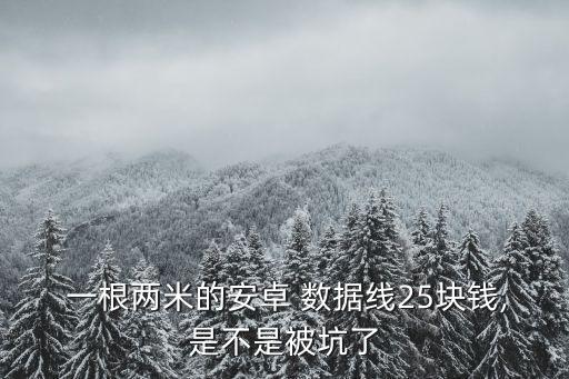  一根兩米的安卓 數(shù)據(jù)線25塊錢(qián),是不是被坑了