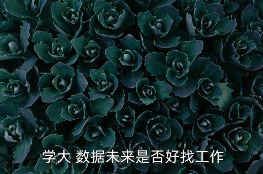  學(xué)大 數(shù)據(jù)未來是否好找工作