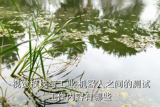  視覺(jué)模塊與工業(yè) 機(jī)器人之間的測(cè)試工作內(nèi)容有哪些
