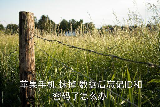 蘋果id抹掉數(shù)據(jù)后還能找回來嗎