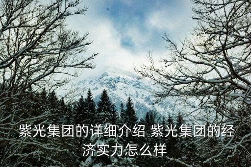  紫光集團的詳細介紹 紫光集團的經(jīng)濟實力怎么樣