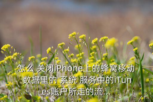 怎么 關閉iPhone上的蜂窩移動 數(shù)據(jù)里的 系統(tǒng) 服務中的iTunes賬戶所走的流...